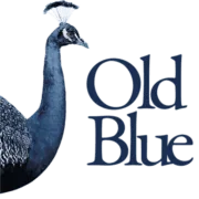 Old Blue Giethoorn